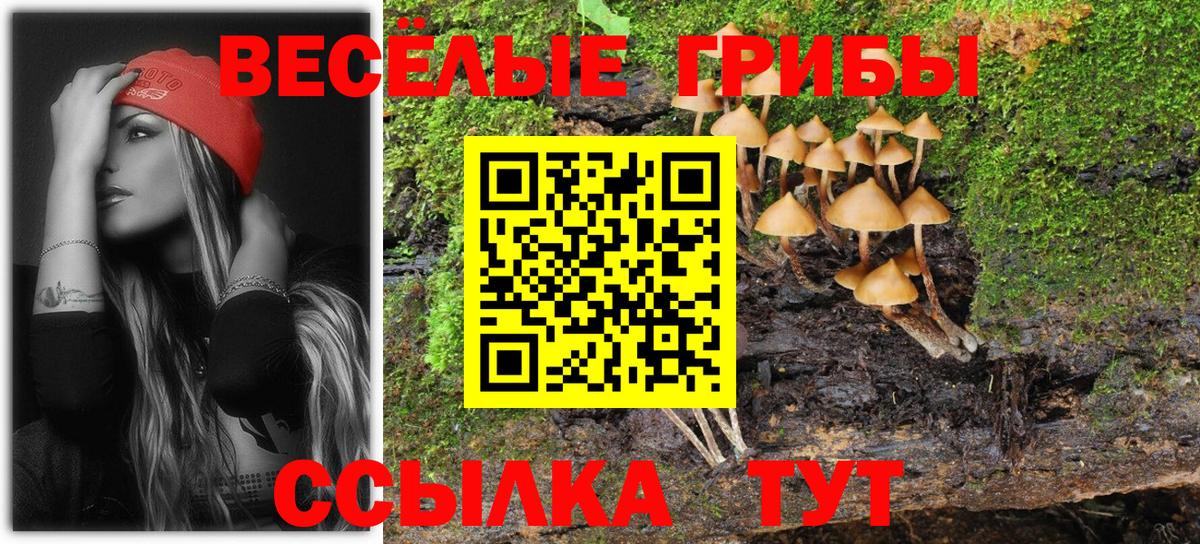 Галлюциногенные грибы мицелий  Вход с VPN  купить закладку  Удомля 
